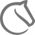 Status von Lichess prüfen
