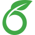 Status von Overleaf prüfen