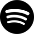 Check status of Spotify